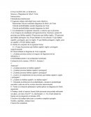 Tema de Diagrama de venn