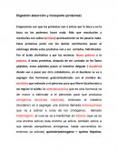 Digestión absorción y transporte (proteínas)
