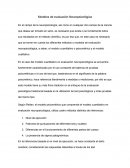 Modelos de evaluacion neuropsicologica