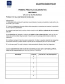 PRIMERA PRÁCTICA COLABORATIVA