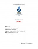 Ejemplo de llas Fichas