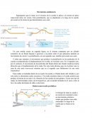 Comom se da un Movimiento ondulatorio