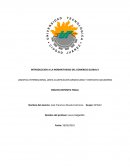 LOGISTICA INTERNACIONAL (AREA CLASIFICACION ARANCELARIA Y DESPACHO ADUANERO)