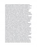 Los animales vertebrados