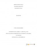 ANALISIS DEL PROYECTO DIAGNOSTICO FASE_2