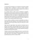 Métodos de construcción en zonas pantanosas