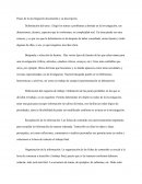 Pasos de la investigación documental y su descripción