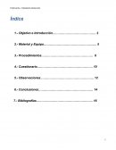 Una nueva Práctica 3 REDOX Química ESIME ICE