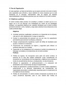 PLAN DE ORGANIZACIÓN Y DESARROLLO PARA EL BIENESTAR