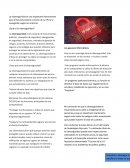 Poemas ¿Qué es la ciberseguridad?