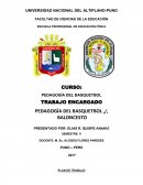 Plan de trabajo de baloncesto