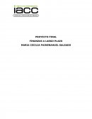 PROYECTO FINAL FINANZAS A LARGO PLAZO