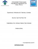 Experiencia: Hidráulica de Tuberías y Canales