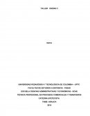 TÉCNICA PROFESIONAL EN PROCESOS COMERCIALES Y FINANCIEROS