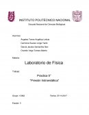 Practica 5° “Presión hidroestática”