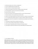 ¿Por qué elegiste ser docente?