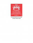 Contador 16 bits por FPGA