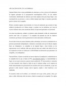 PNL APLICADO A LAS EMPRESAS