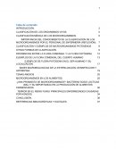 CLASIFICACIÓN DE LOS ORGANISMOS VIVOS