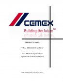 Ejemplo de la Análisis interno CEMEX