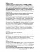 Resumen historia 1 gavito