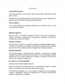 El Neonato Características Físicas