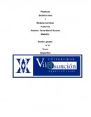 Sistema óseo Y Sistema nervioso Anatomía