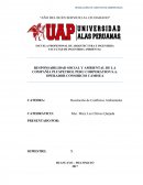 Responsabilidad Social y Ambiental Pluspetrol