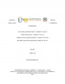 TAREA PASO 2 - MOMENTO INTERMEDIO