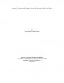 Licenciatura en Administración de Negocios Internacionales