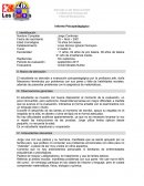 Informe psicopedagogico Jorge Contreras