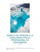 MANEJO DE HERIDAS A LA VANGUARDIA POR EL PROFESIONAL DE ENFERMERÍA