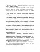 Unidades Económicas Productivas: Fundaciones, Microempresas, Empresas Familiares, entre otros.
