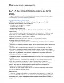 Ejemplo de un Resumen segundo control finanzas