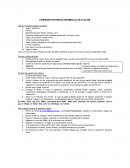 LINEAMIENTOS PARA EL DESARROLLO DE LA CLASE