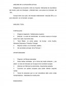 Aunque tiene una cuota del mercado relativamente reducida (8%) y un poco atracción en el mercado europeo.