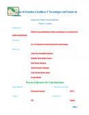 Organismo Público Descentralizado. Plantel 13 Astata