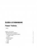 Cliente potente Análisis de la empresa vertical vs procesos