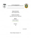 Materia Análisis Inorgánico “Punto de ebullición “