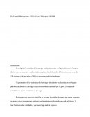 Ensayo sobre Pia español primer semestres