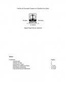 Proceso de atencion de efermeria