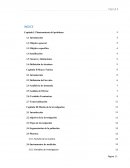 La rentabilidad de automóviles en la ciudad de Rio Verde