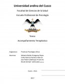 Acompañamiento Terapeutico