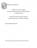 Desarrollo e introducción de nuevos productos