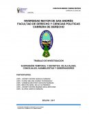 SUSPENSIÓN TEMPORAL Y DEFINITIVA DE ALCALDES, CONCEJALES, ASAMBLEÍSTAS Y GOBERNADORES