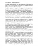 Foto MATERIALES FOTOSENSIBLES. *