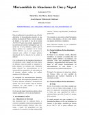 Microanálisis de Aleaciones de Cinc y Nique