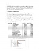 Como se da una Vivienda region centro