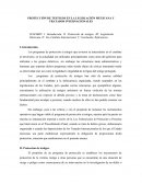 PROTECCIÓN DE TESTIGOS ensayo