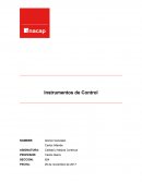 Estado de Avance 3 Mencione 5 situaciones del negocio, que son controladas.